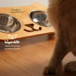 ظرف غذای گربه چوبی ژاژا + نام گربه‌تون - تصویر 6
