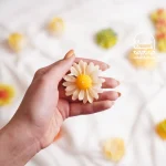 باکس شمع حریر - Image 3